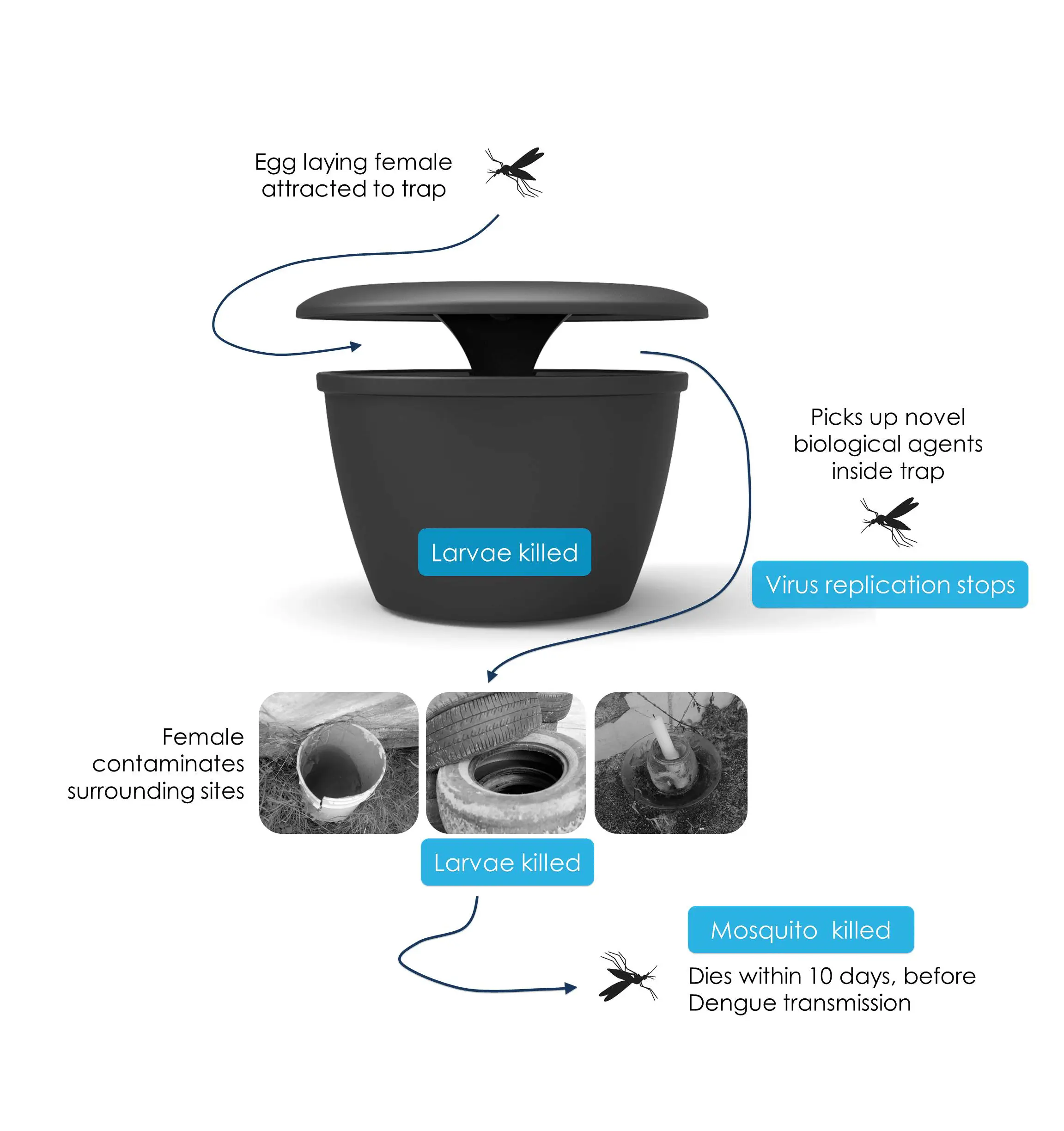 in2care mosquito traps